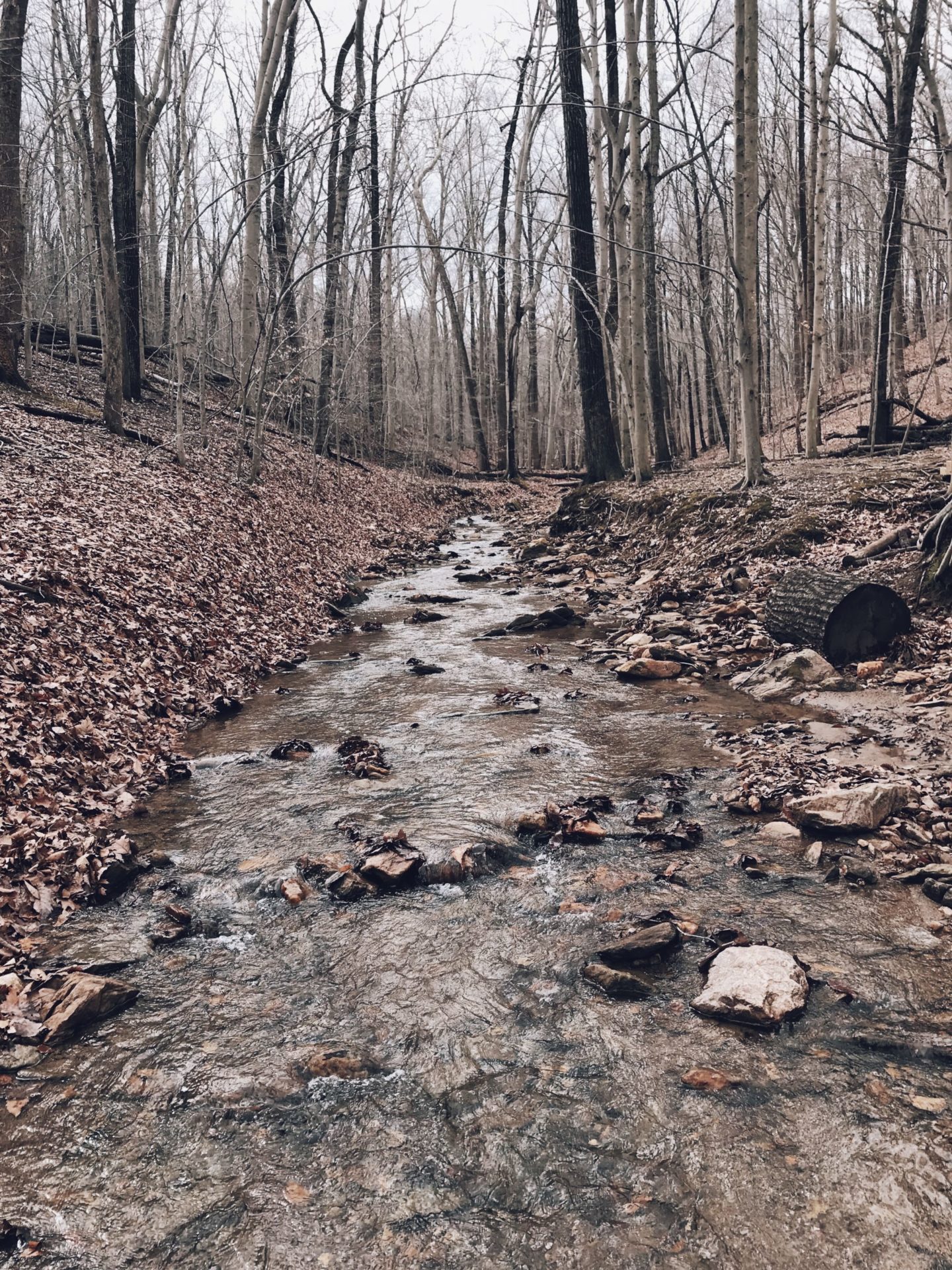Cromwell Valley Park (HIKE MARYLAND)