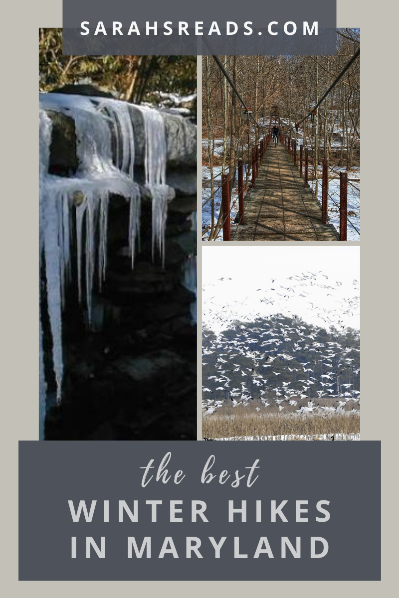 The Best Winter Hikes in Maryland